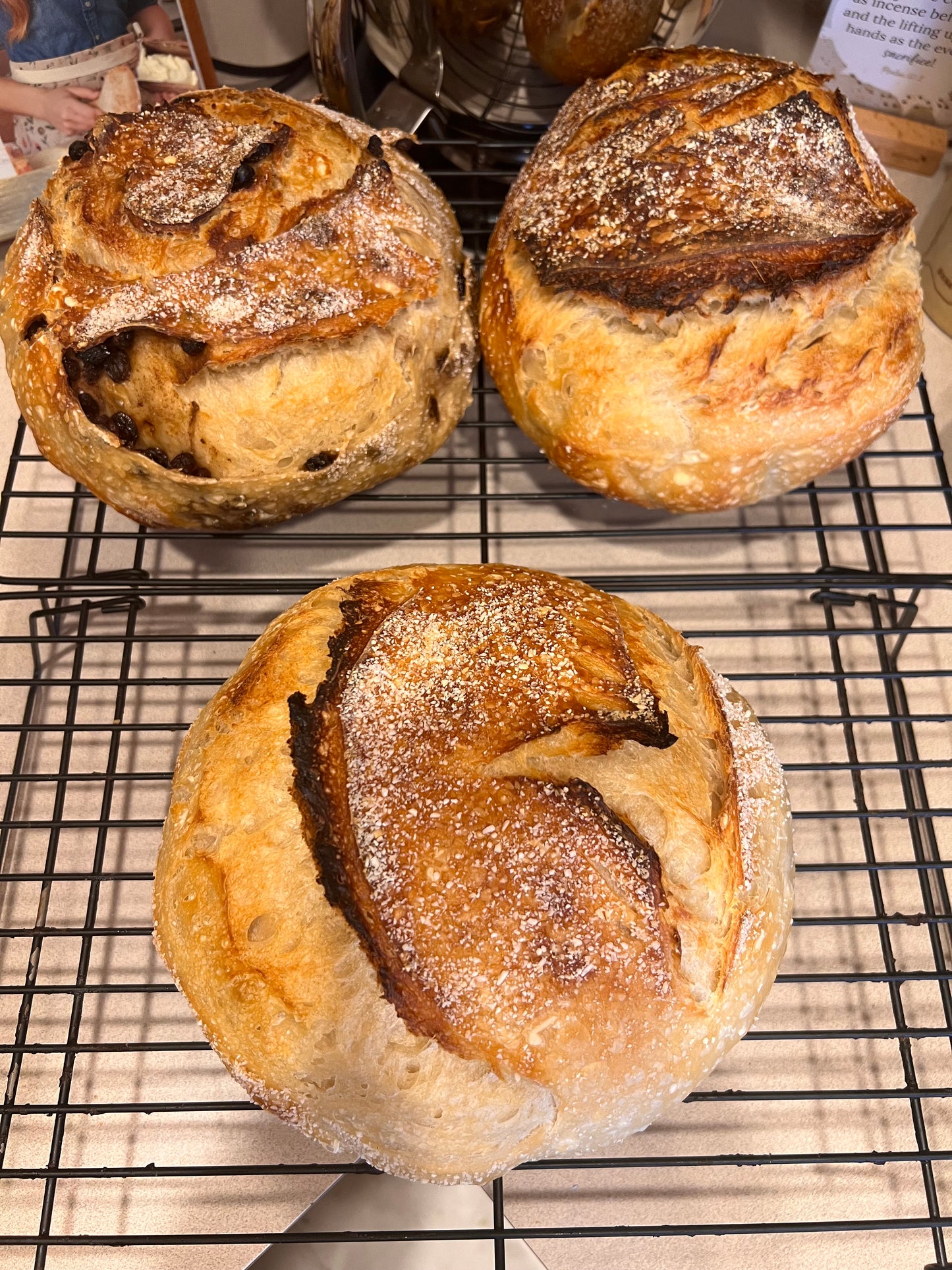 Sourdough Starter
